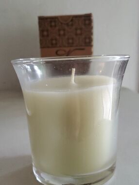 Cucumber Melon Candle 13 oz, clean burn cotton wick Celebrating Home retired